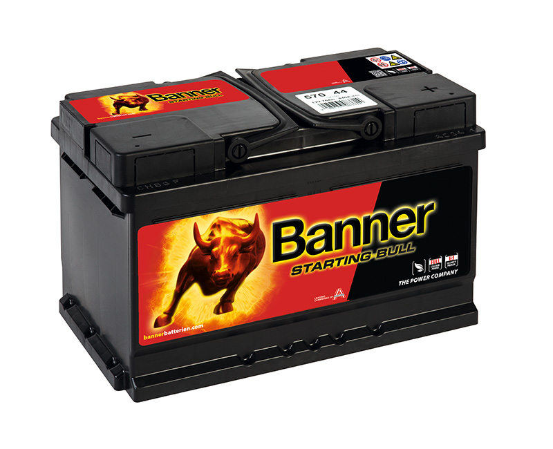 Starting Bull 570 44